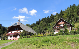 obergiesshof waldbauernhof