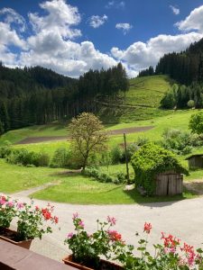 obergiesshof waldbauernhof
